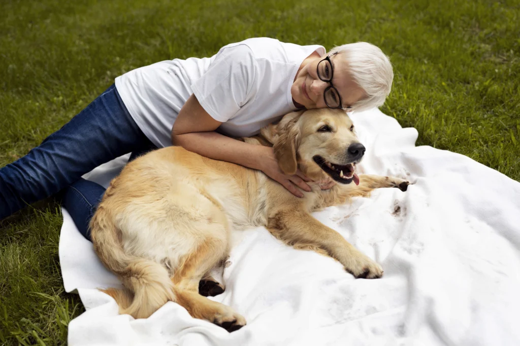 A senior Golden Retriever with graying fur resting on an orthopedic bed in a cozy home setting.